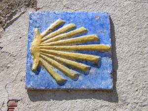 CaminoShell