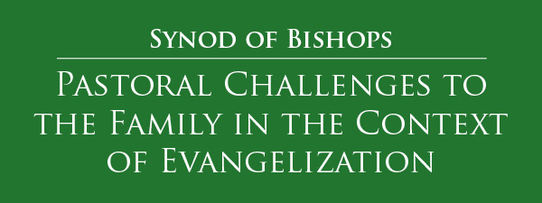 synod of bishops