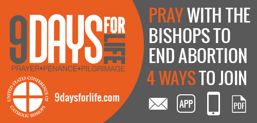 usccb-9-day-web-500x240