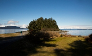 A small island forest of spruce and hemlock envelop chapel at Shrine of St. Therese in Juneau, Alaska.
