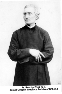 Fr Tosi gray