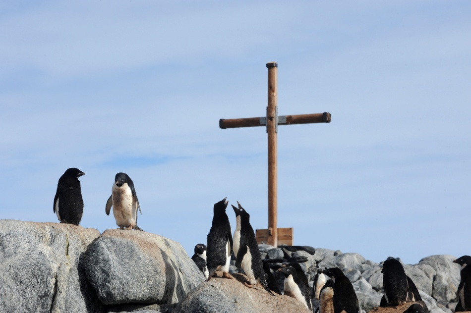Adelie penguins gather at the base of a memorial at Mawson's Hut in Commonwealth Bay, Antarctica, Jan. 16. No word has emerged on what Pope Francis' climate change and environmental degradation encyclical might say or when it would appear in 2015, but references by officials at the Pontifical Council for Justice and Peace have pointed to a document that Catholics can apply in everyday life. (CNS photo/Dean Lewins, EPA) See YEAREND-CLIMATE Dec. 9, 2014.